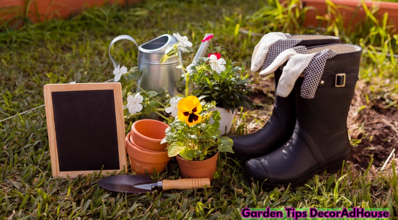 Garden Tips DecorAdHouse: Create a Stylish and Refreshing Outdoor Space